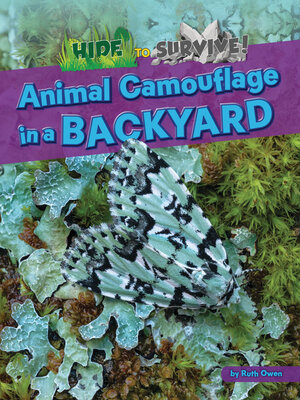 cover image of Animal Camouflage in a Backyard